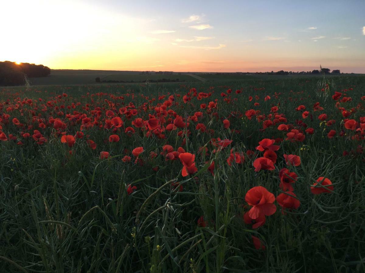 Hardecourt-aux-Bois Dupres House, Chavasse Farm, Somme Battlefields 빌라 외부 사진